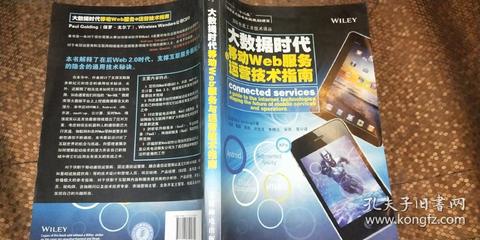 大数据时代移动Web服务与运营技术指南